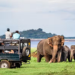 Safari Yala National Park