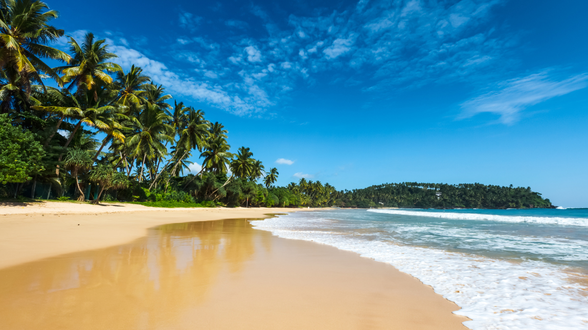 Tropical Shores Getaway